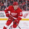 RedWingsDoc_25 profil fotoğrafı