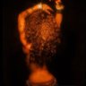 what’s on my mind ?'s profile picture