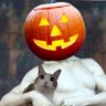 Фото профиля TelemachusLovesHalloween
