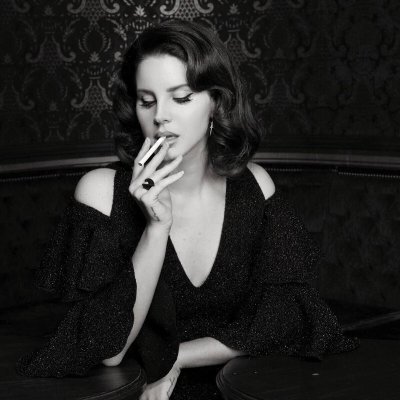 VoidRevise's profile picture