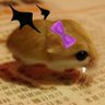 katyamari damousey 🐭's profile picture