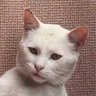 por mim's profile picture