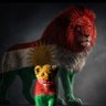 هەڵمەت کوردی 的头像