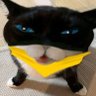 Profilbild von SylvnXxd