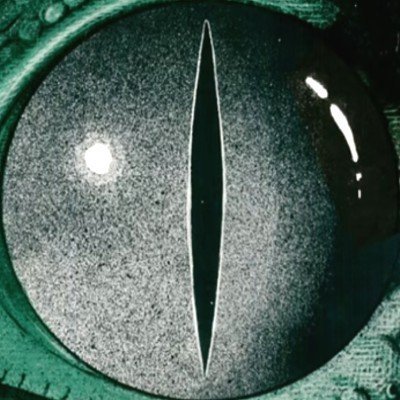 cartoonrandombr's profile picture
