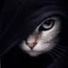pierdas's profile picture