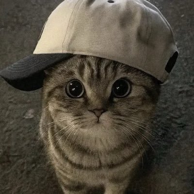 嶺ﾁｬﾝ's profile picture