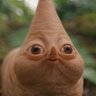 Фото профиля Qenis Groyper
