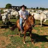 Profilbild von Gabriel Medeiros 🐂