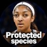 Mario's profile picture