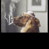 Фото профиля James Vasta