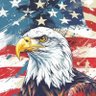 Drkstar's profile picture
