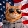 Monica from Wisconsin🇺🇸 profil fotoğrafı