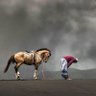 تعزي أصلي's profile picture