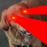 Yane's profile picture