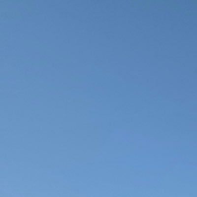 sundheey's profile picture