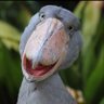 A fascinating world's profile picture