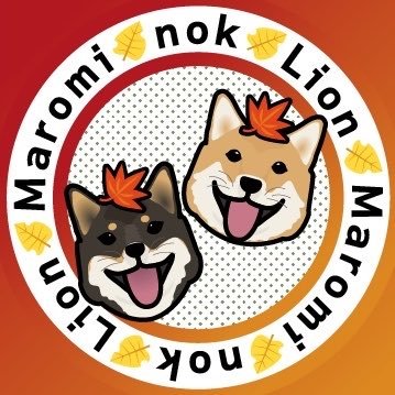 nok's profile picture