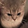 ing's profile picture