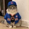 Profilbild von KittyCub BearCat