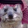 هيسوكت 的头像