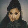 cinna ꕤ's profile picture