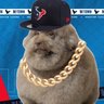 Profilbild von El Piรฑa Papa๐