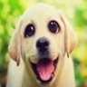 cato!'s profile picture