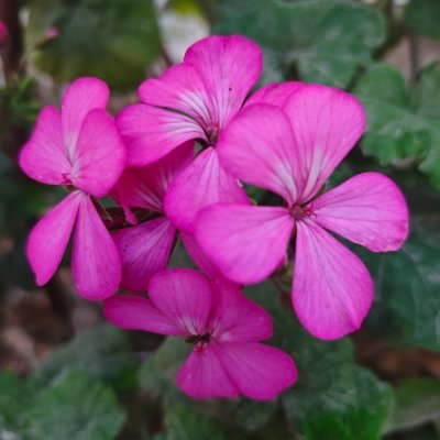 hadiordannaber's profile picture