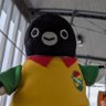 Profilbild von corazón de amarillo⚽ ガラナ大好きジェフサポニキ。