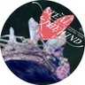 tomogyu's profile picture