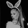 Profilbild von logie ꕤ