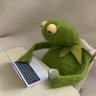 Kermit the Frog 's profile picture