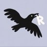 RookAxto's profile picture