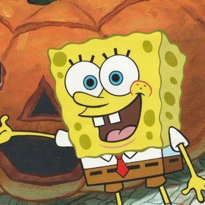 SussedSponge's profile picture