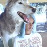 ♪₊˚♫'s profile picture
