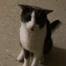 swm's profile picture