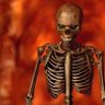 Profilbild von Based skeleton