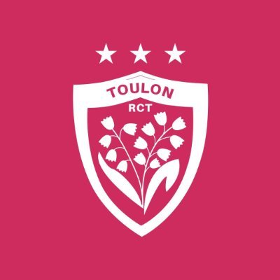 RCTofficiel's profile picture