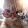jayla 🌸 profil fotoğrafı