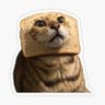 ski's profile picture