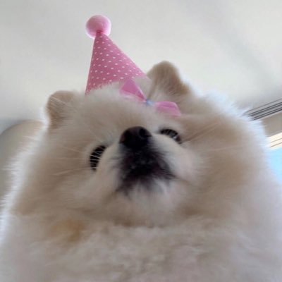 Lerrato_11's profile picture