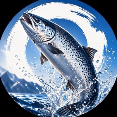 鲑鱼哥 ｜Salmon Bro 🐟's profile picture