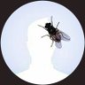 Profilbild von Thiapathioly