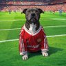 Фото профиля Aidan MUFC