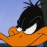 Mach 5's profile picture