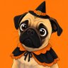 Katy Allison's profile picture