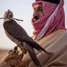 Profilbild von 🇸🇦F5R