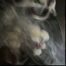 HiImSlim's profile picture
