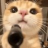  LOVE LIVE profil fotoğrafı